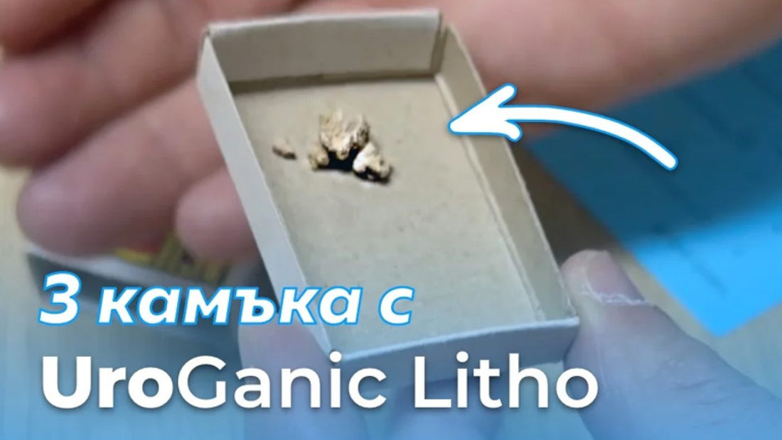 Kak UroGanic Litho-помогна за изчистване на 3 бъбречни камъка