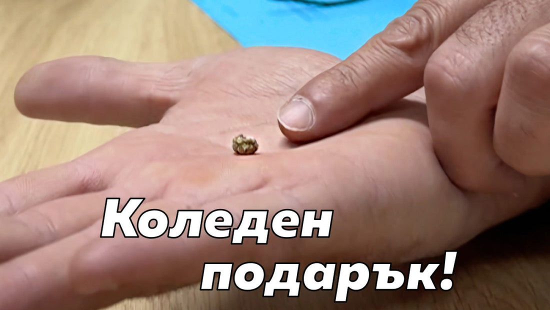 Коледен подарък от UroGanic Litho!