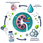 UroGanic Litho