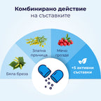 UroGanic Litho - съставки
